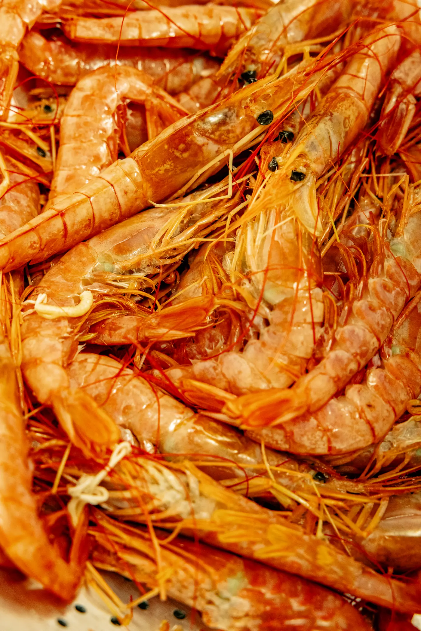 Top-down close-up of fresh whole raw King prawns at Seafood City Birmingham — large size, shells intact with whiskers visible, prepped by hand daily before service for the Louisiana seafood boil